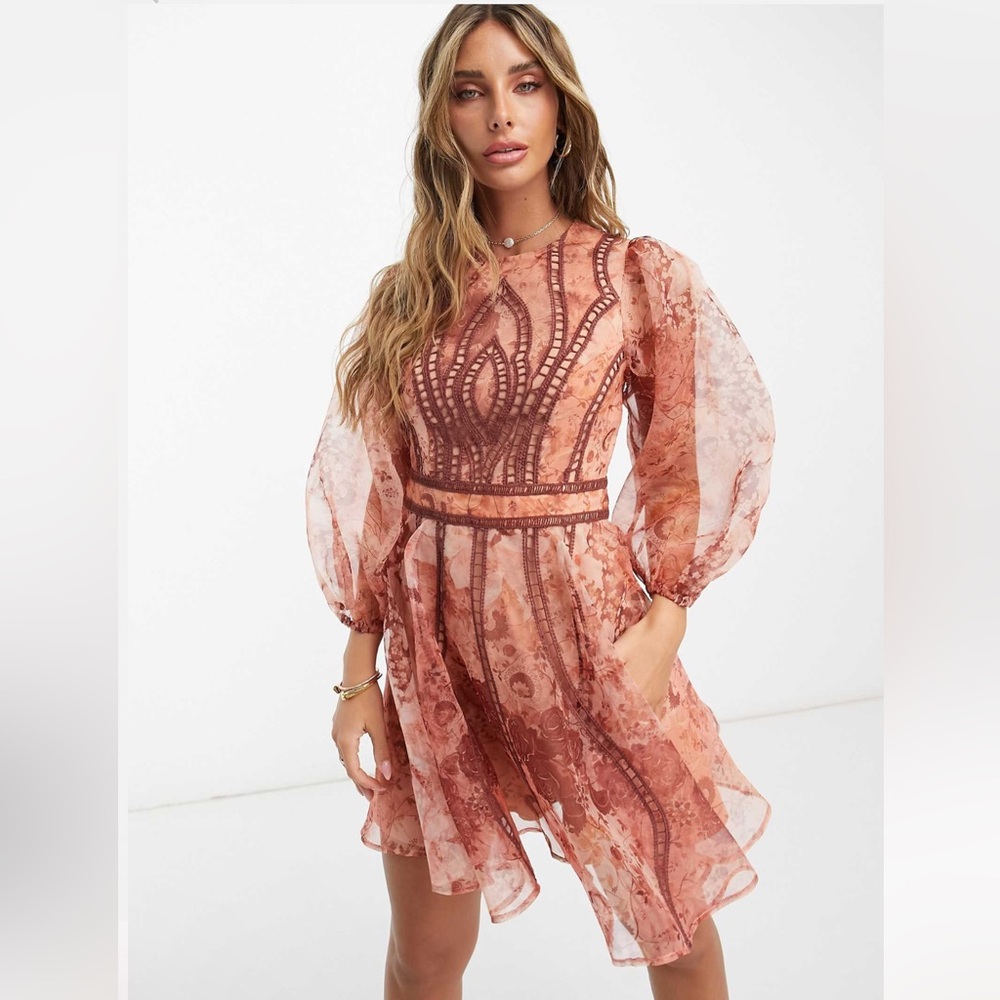 ASOS lace insert embroidered organza mini skater dress in pink print